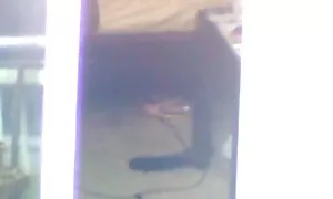 جيزيل بالمر يحب اريد افلام سكسيه افلام سكسيه الديك الأسود