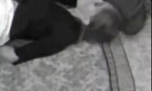 في سن المراهقة Lenn و ايلي نيكول فيلم سعودي سكسي ابتلاع مص و ابتلاع نائب الرئيس