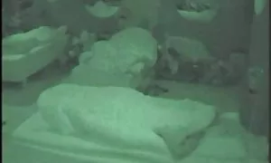 يمتد الجانب إلى الهريفي. لذيذ من الصعب للقبض! افلام سكسي قصيره
